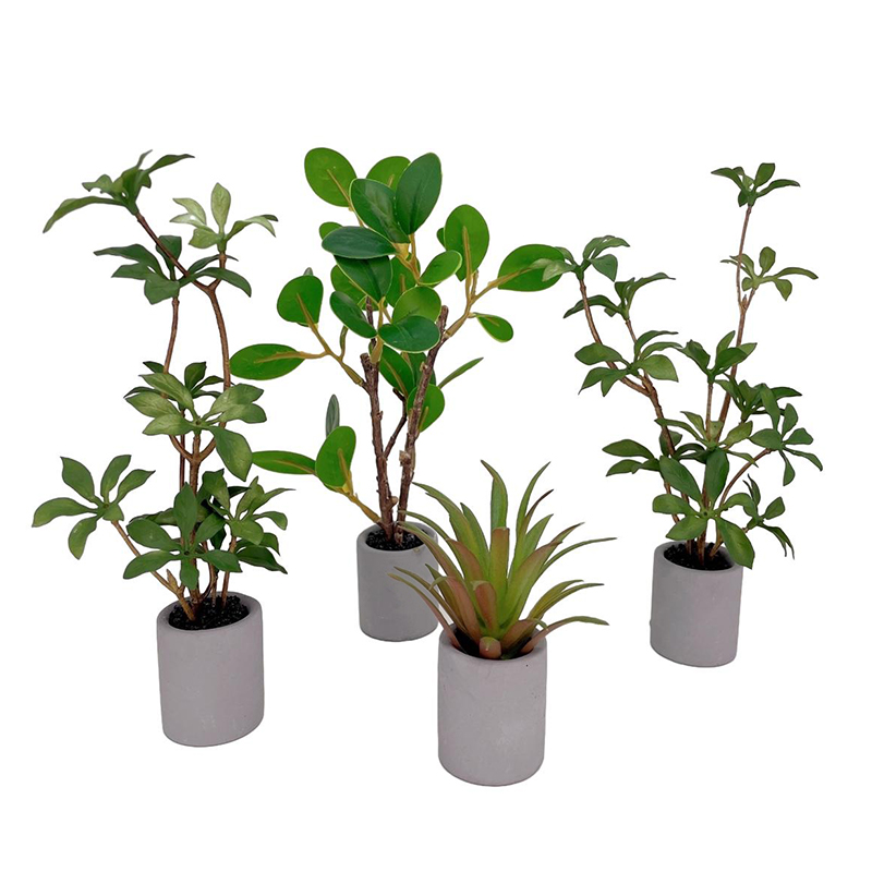 Bonsai Garden Ideas - 1:6 Evcilik Minyatür Saksı Bitki Yeşil