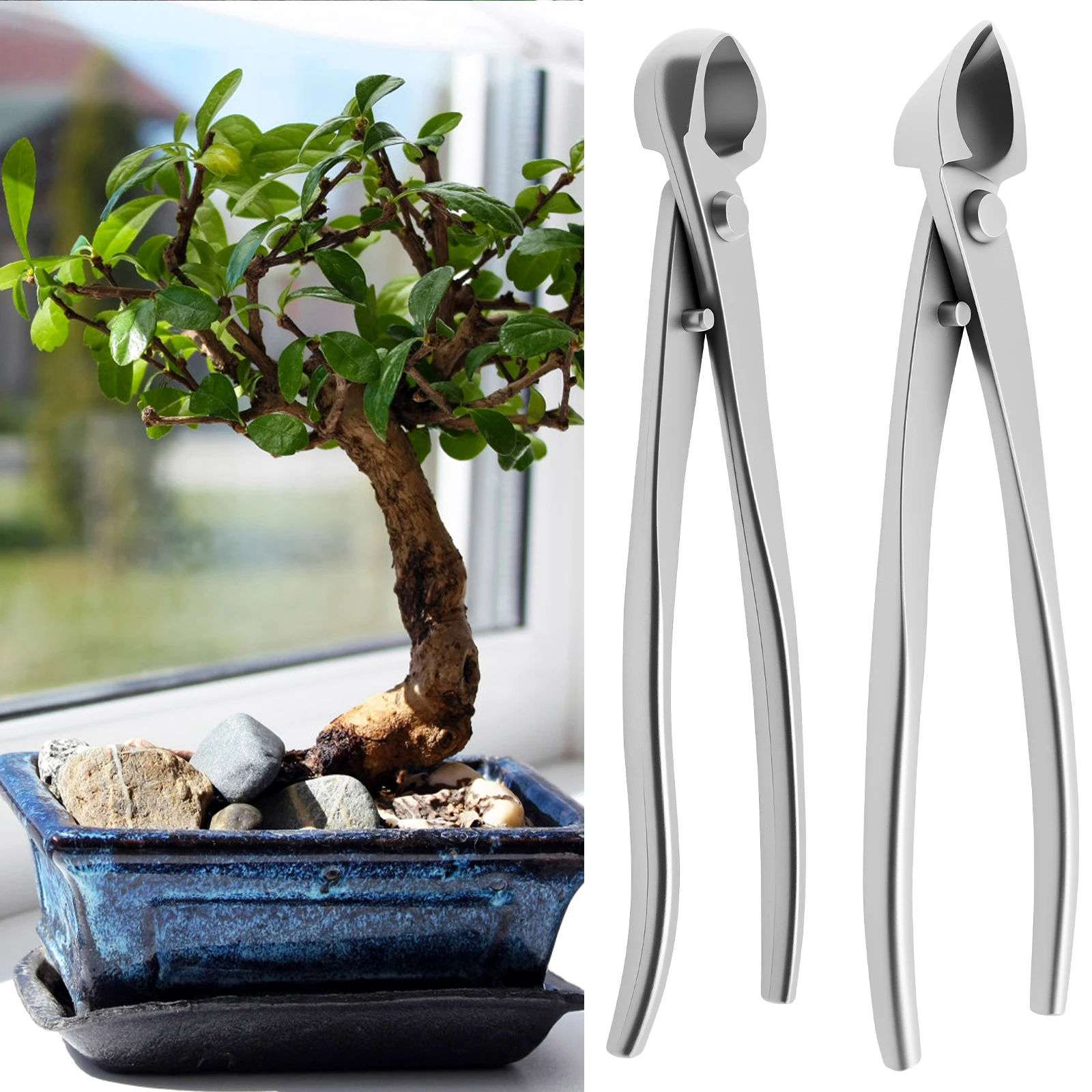 Bonsai Bakım Seti Paslanmaz Çe - Bonsai Garden Timings incelemesi ve fiyatı