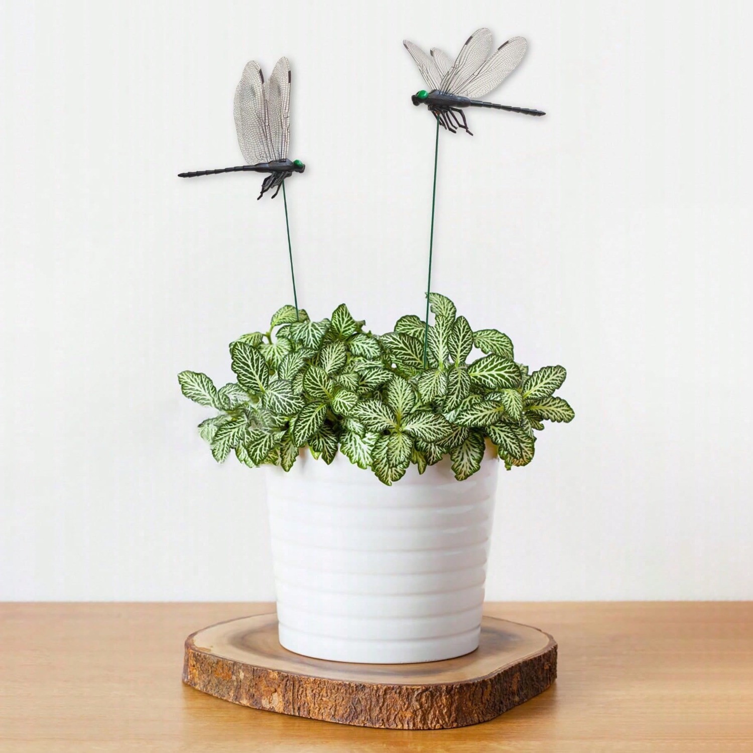 10 Adet Dekoratif Yusufçuk, Ge - Bonsai Garden Decor incelemesi ve fiyatı