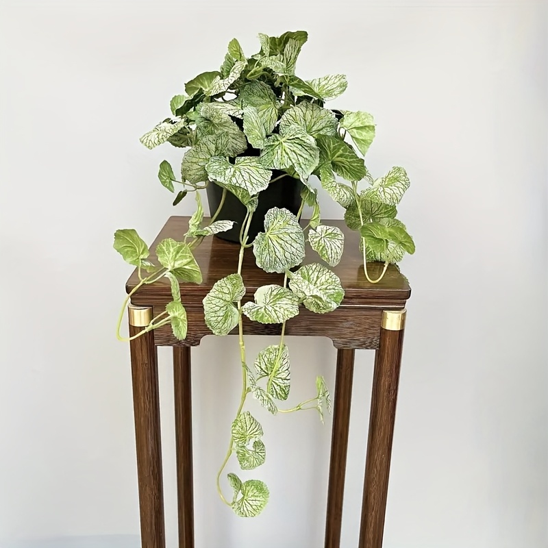 Gerçekçi yaprak dökmeyen yeşil - Bonsai Garden Ideas incelemesi ve fiyatı