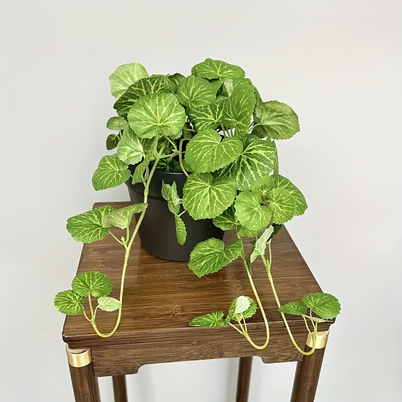 Gerçekçi yaprak dökmeyen yeşil - Bonsai Garden Ideas incelemesi ve fiyatı