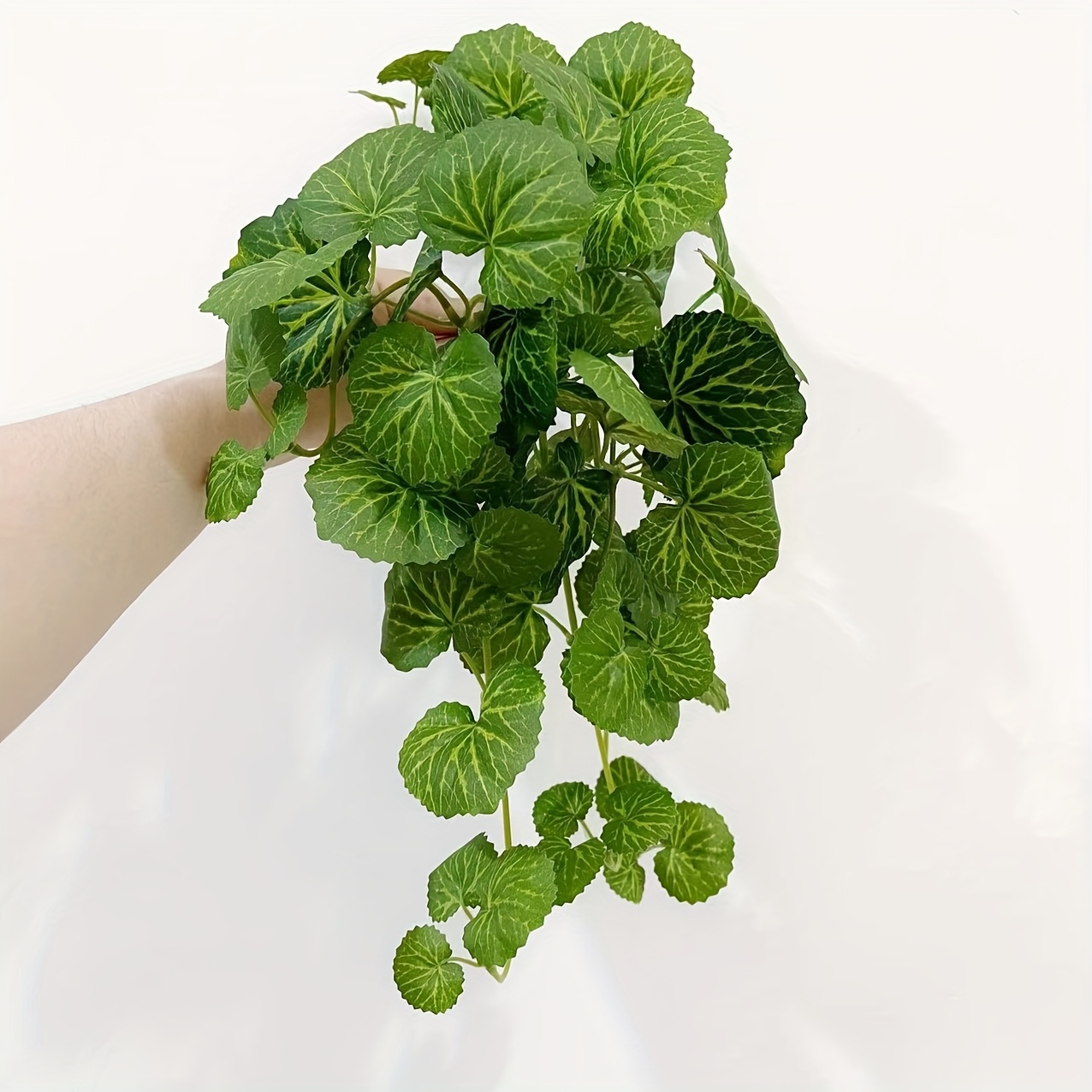 Gerçekçi yaprak dökmeyen yeşil - Bonsai Garden Ideas incelemesi ve fiyatı