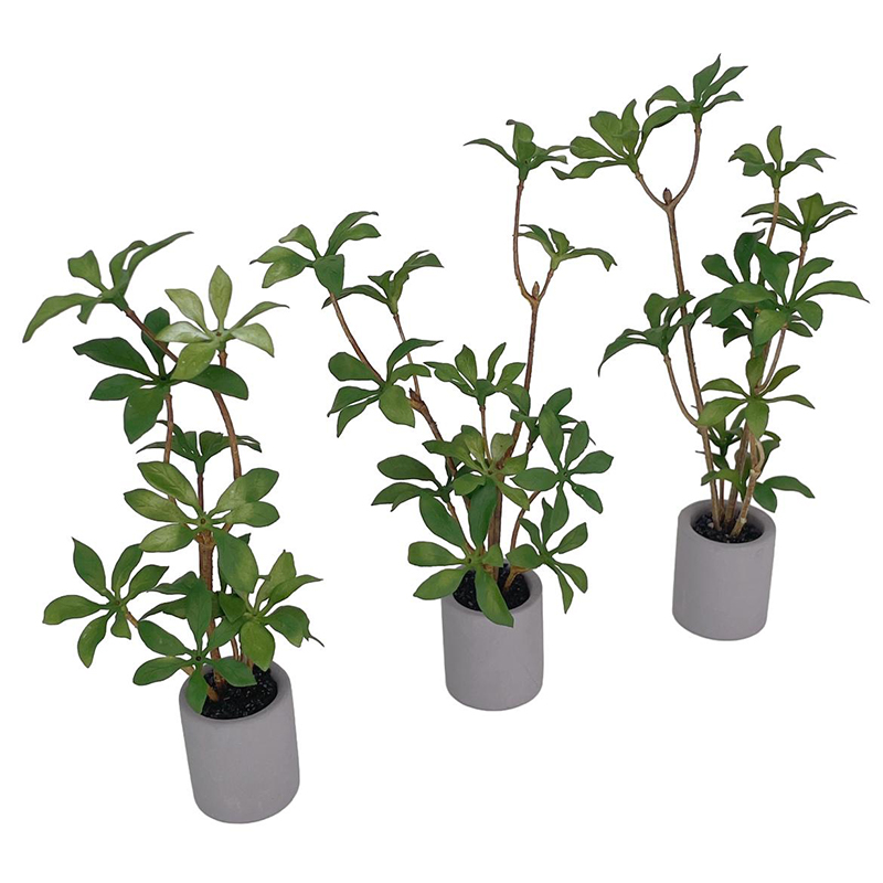 1:6 Evcilik Minyatür Saksı Bit - Bonsai Garden Ideas incelemesi ve fiyatı
