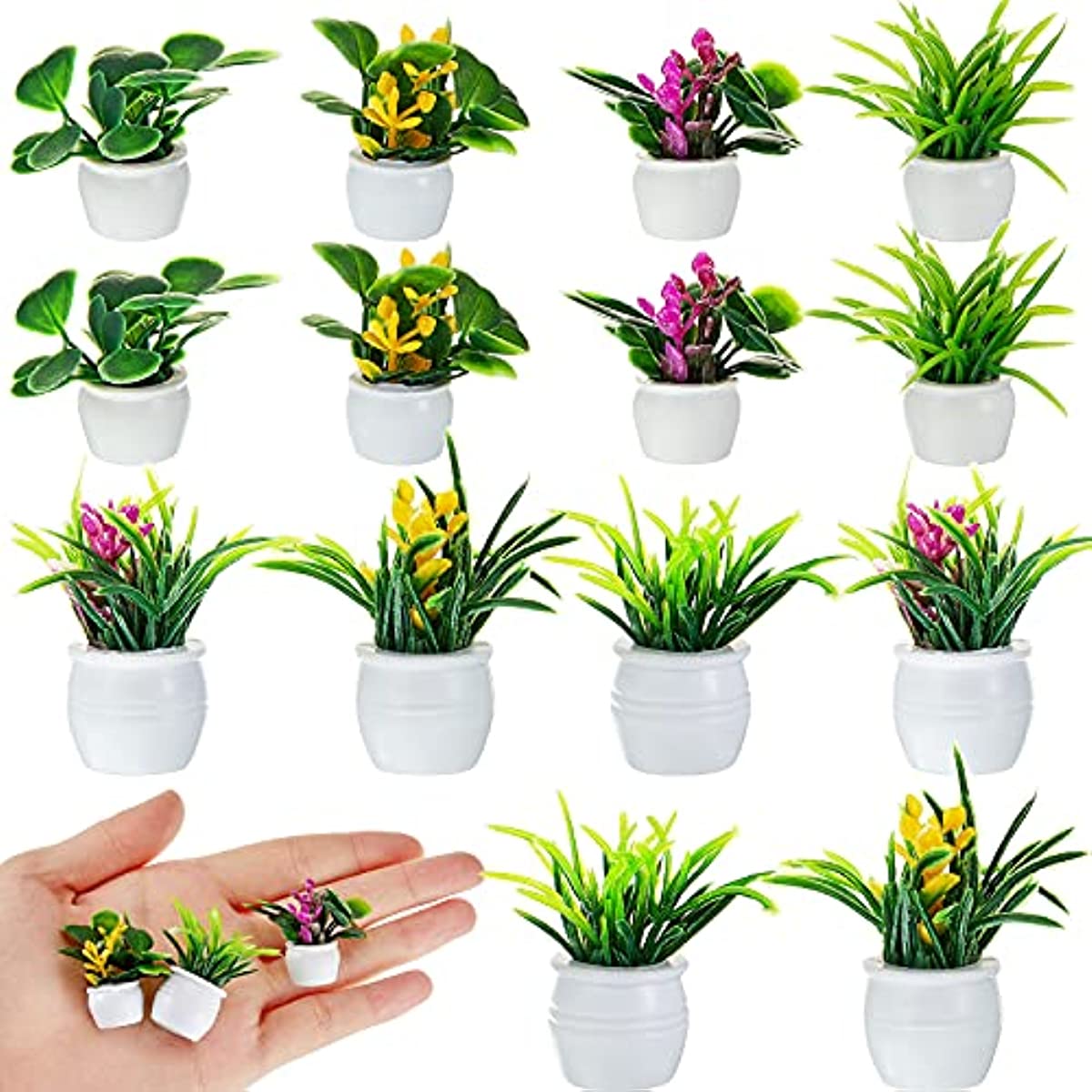Dollhouse Bitki, Minyatür Bons - Bonsai Garden Ideas incelemesi ve fiyatı