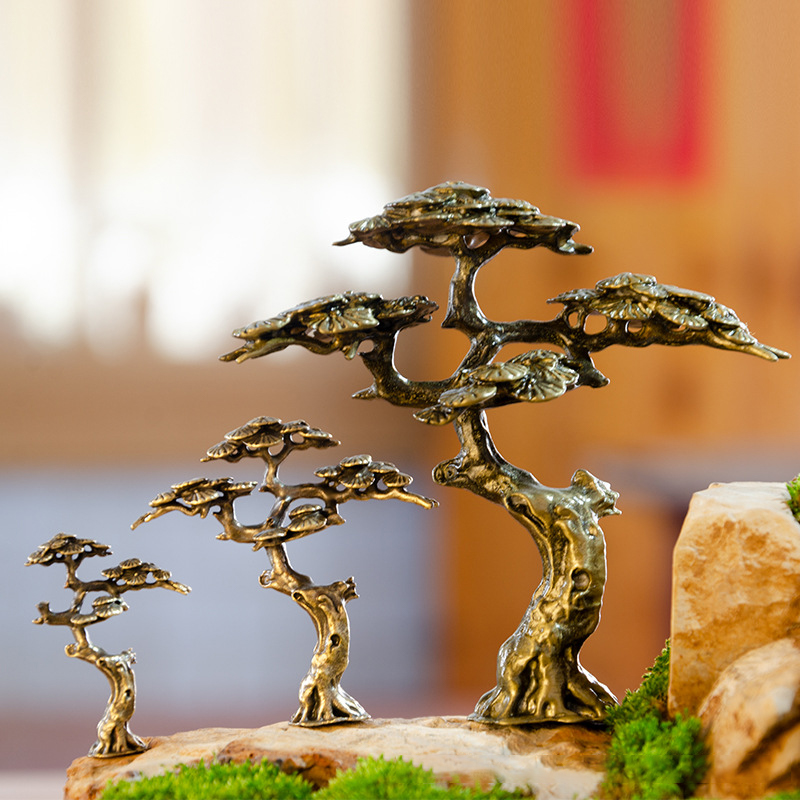 Mini Karşılama Çam Minyatür He - Bonsai Garden Ideas incelemesi ve fiyatı